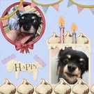 HAPPY　BIRTHDAY！