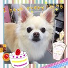 HAPPY BIRTHDAY!