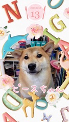 お茶目でカワイイ~♪