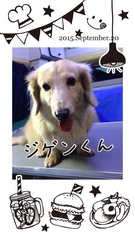 サロンから移動へ♪
