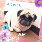 HAPPY BIRTHDAY!