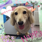 HAPPY BIRTHDAY!