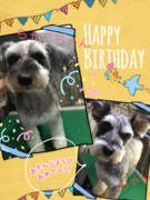 HAPPY BIRTHDAY!