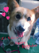 HAPPY BIRTHDAY!