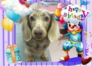 HAPPY BIRTHDAY!