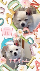 うとうと~~♪