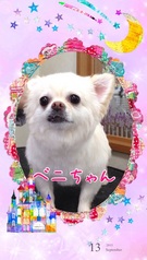 お利口さん♪