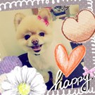 HAPPY BIRTHDAY!