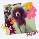HAPPY BIRTHDAY!