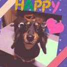 HAPPY BIRTHDAY!