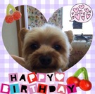HAPPY BIRTHDAY!