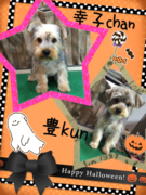 パパとママの愛情たっぷり♡
