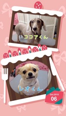 HAPPY　BIRTHDAY！