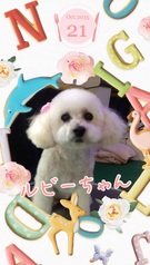 HAPPY　BIRTHDAY！