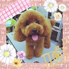ココちゃん♪