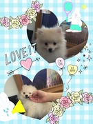 愛くるしいルックス♡