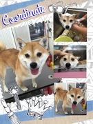 甘えん坊さん♪
