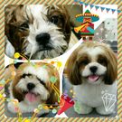 HAPPY BIRTHDAY!