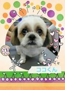 上目遣いでチラリ♪