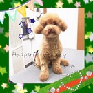 HAPPY BIRTHDAY!