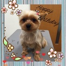 HAPPY BIRTHDAY!