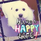 HAPPY BIRTHDAY!