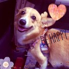 HAPPY BIRTHDAY!