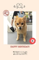 HAPPY BIRTHDAY!