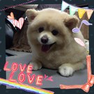 HAPPY BIRTHDAY!