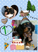 HAPPY BIRTHDAY!