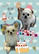 HAPPY BIRTHDAY!