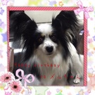 HAPPY BIRTHDAY!