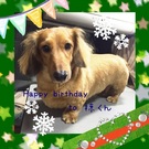 HAPPY BIRTHDAY!