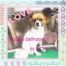 HAPPY BIRTHDAY!