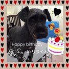 HAPPY BIRTHDAY!
