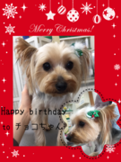 HAPPY BIRTHDAY!