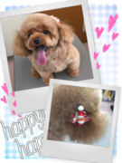 クリスマスりぼん☆