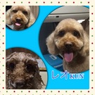 レオくん♪