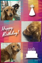 HAPPY BIRTHDAY!