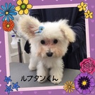 可愛すぎる~~♪