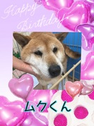 HAPPY BIRTHDAY!