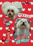 HAPPY BIRTHDAY!
