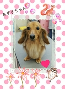 全身ピカピカ☆