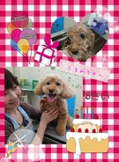 HAPPY BIRTHDAY!