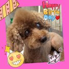 HAPPY BIRTHDAY!