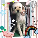 HAPPY BIRTHDAY!