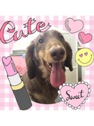 男前になったね♪