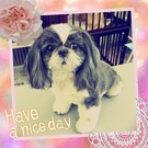 HAPPY BIRTHDAY!