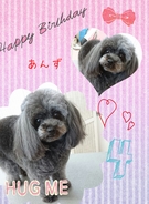 HAPPY BIRTHDAY!