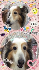 HAPPY BIRTHDAY!